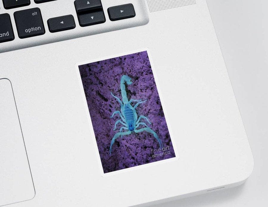 Glowing Impressions: Exploring the Brilliance of UV Stickers
