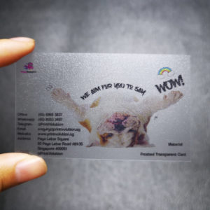 Frosted Transparent Card