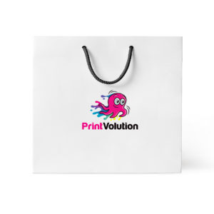 Paper Bag B - 222mm W 203mm H