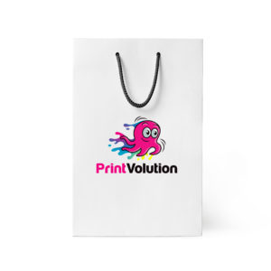 Paper Bag C - 220mm W 343mm H