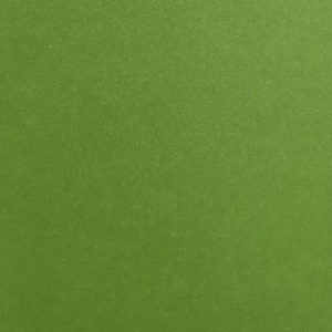 Cocktail Mojito