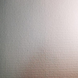 Advocate Laid White
