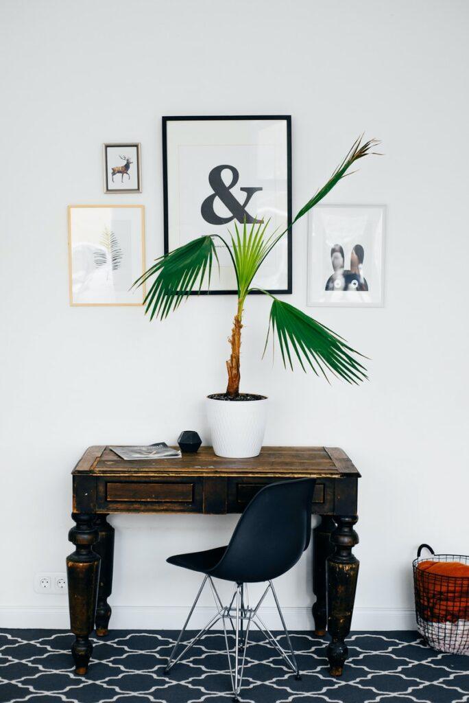 Professional portraits to grace your office & home